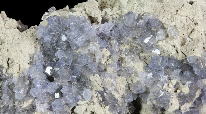 Purple/Gray Fluorite Cluster - Marblehead Quarry Ohio #81188
